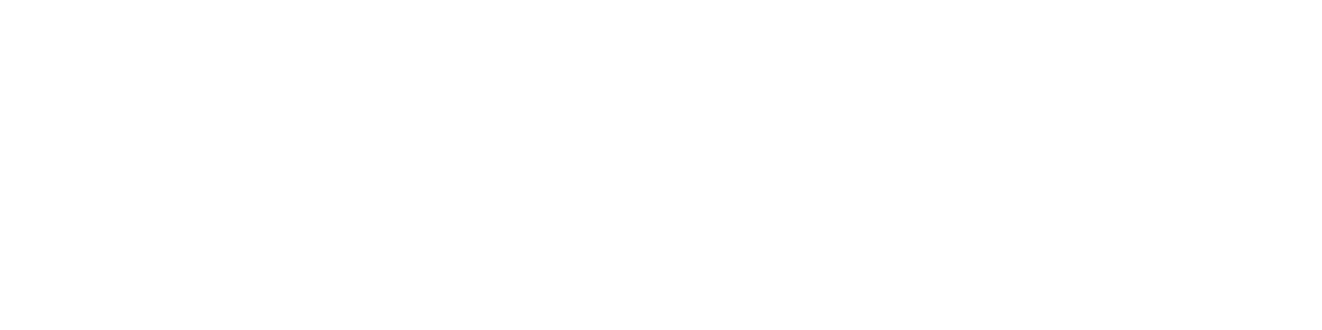ApeLanka Tours Logo