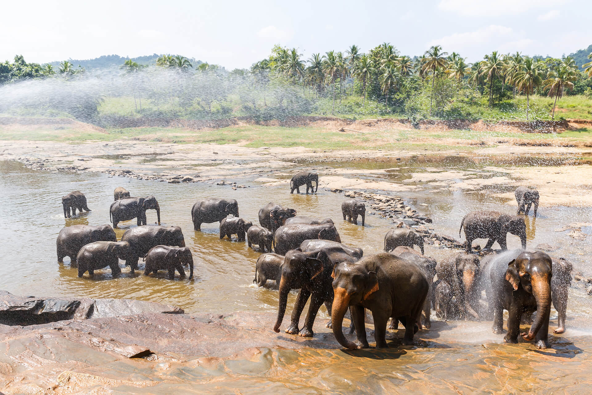 Wildlife Tour