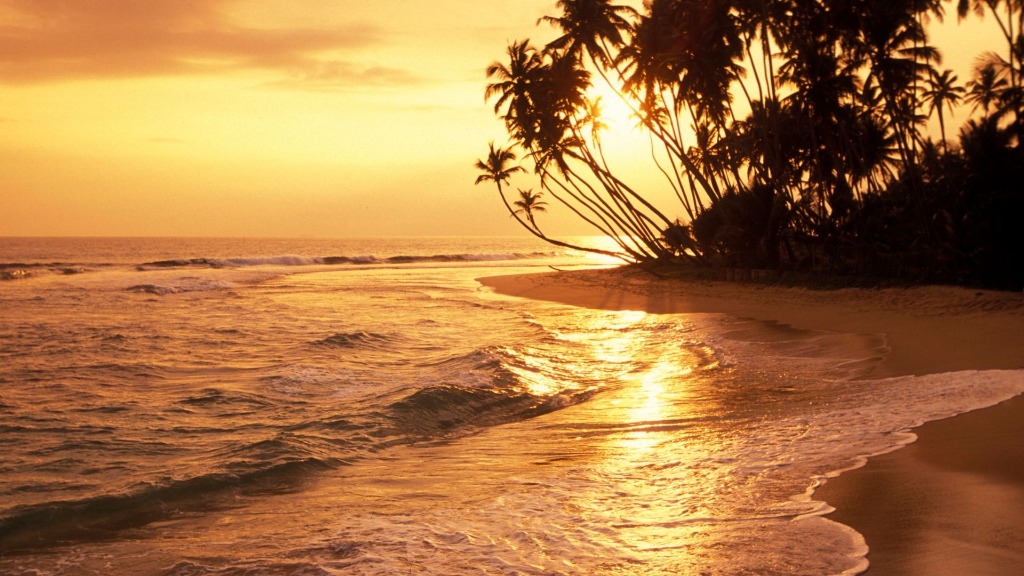 Beach & Relaxation Escape